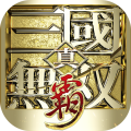 真·三国无双 霸-0.1折免费版-绿色服