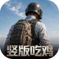 第八秩序-0.1折末日吃鸡-混服
