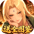荣耀世纪-0.1折全图鉴忍者-混服